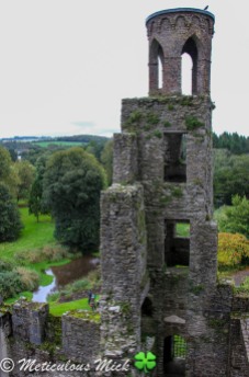 Blarney Look-Out