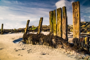 Edited version of Seaside Sentries, wooden posts in the sand