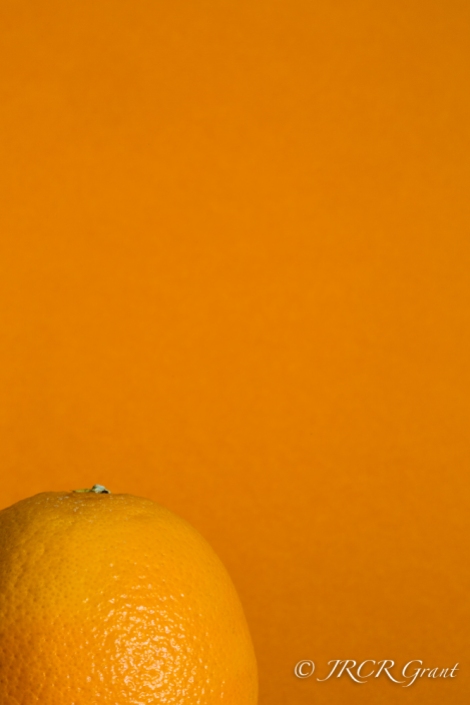 Orange against an orange background