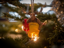 A Main Moose holds aloft a lobster as it hangs from the Christmas tree